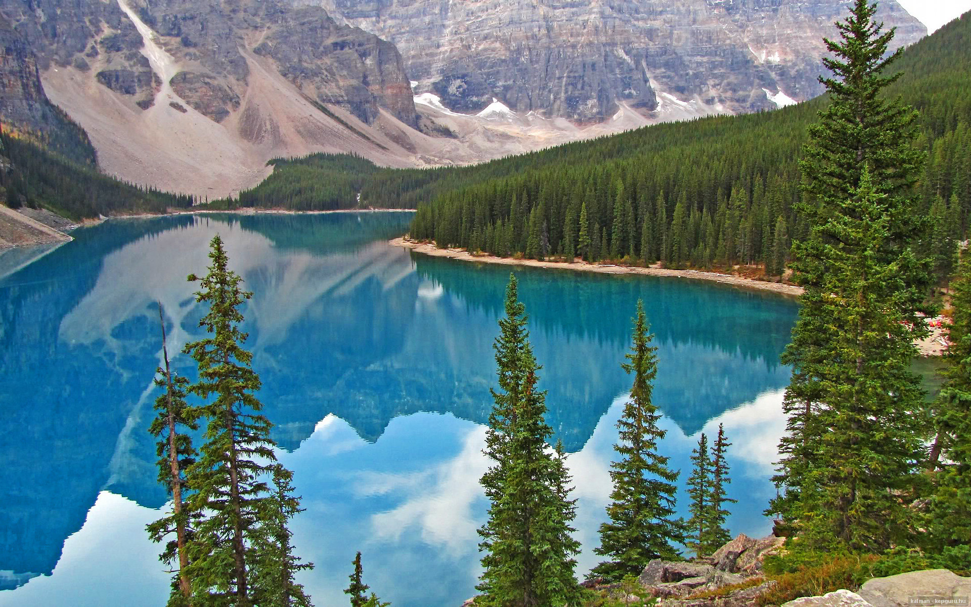 跨领域统治力，从NBA到欧冠的王者之夜，锡安的双重闪耀