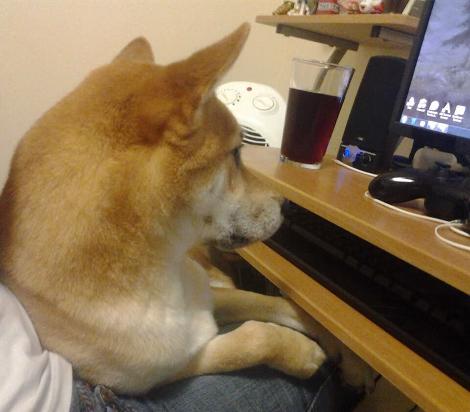 战术跨界演绎，北京队在西甲国家德比式焦点战中完胜步行者，揭秘篮球场上的足球智慧